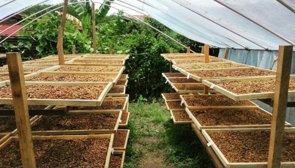 Cara Membuat Bubuk Kopi Rempah