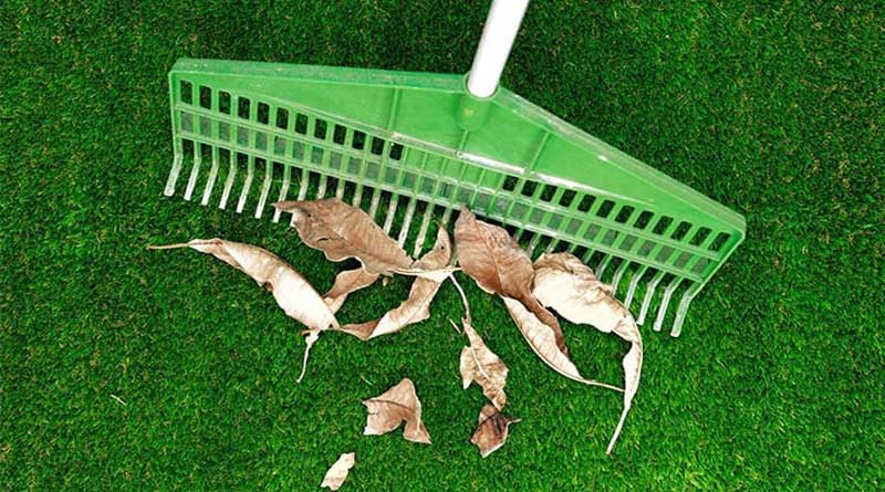 cara merawat rumput sintesis