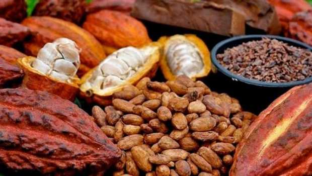cara membuat es krim dari chocolatos bubuk tanpa mixer