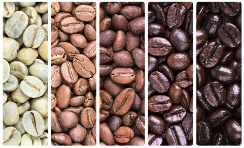 berbagai jenis kopi
