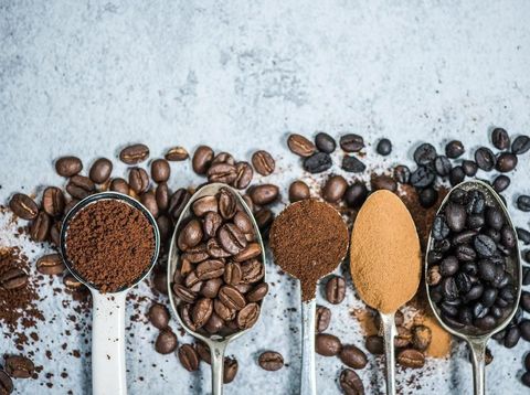 berbagai jenis kopi