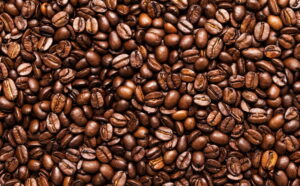 cara budidaya kopi
