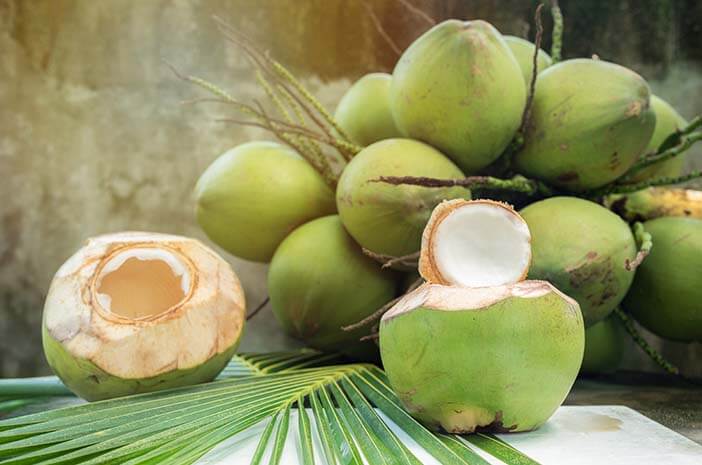 Cara mengolah CPO Menjadi Minyak Goreng