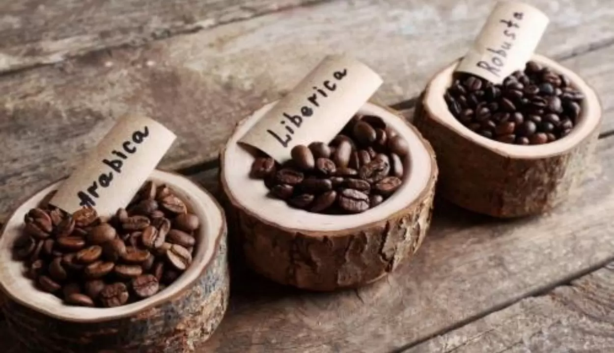 berbagai jenis kopi