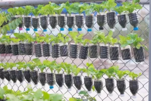 pemanfaatan sampah organik dan anorganik