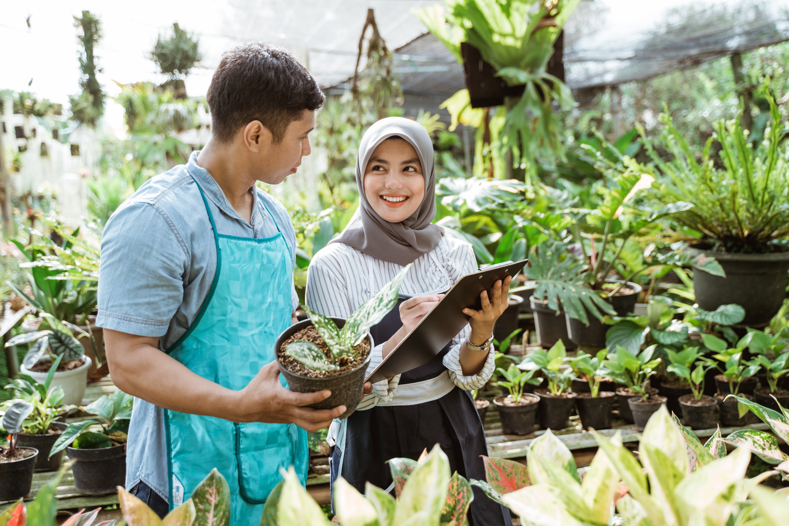 Usaha Bisnis Ringan-Memulai bisnis dengan modal kecil