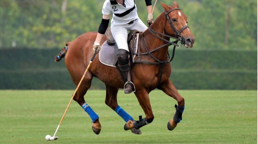 Polo Kain Ringan Bernapas