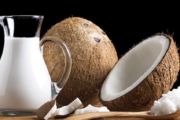 peluang usaha kelapa
