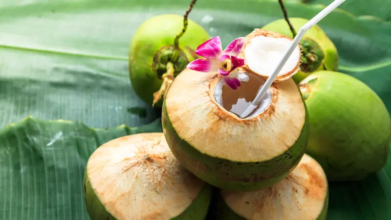 peluang usaha kelapa
