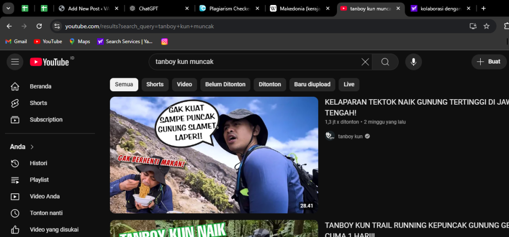 youtuber