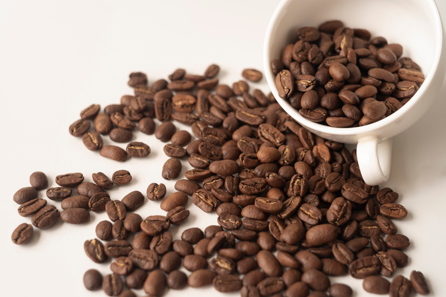 cara menjemur biji kopi