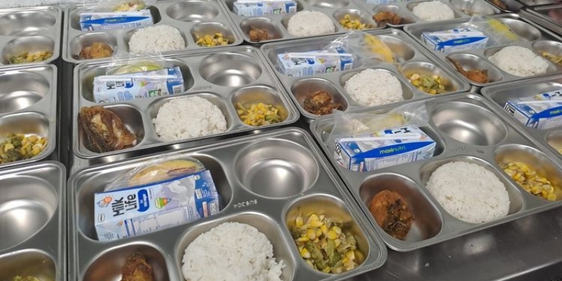 Peluang bisnis MBG untuk pemula