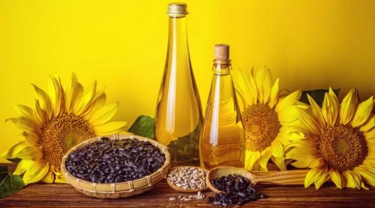 cara produksi minyak bunga matahari berkualitas