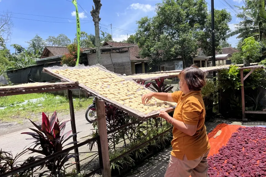 perbedaan mengeringkan makanan manual dan mesin