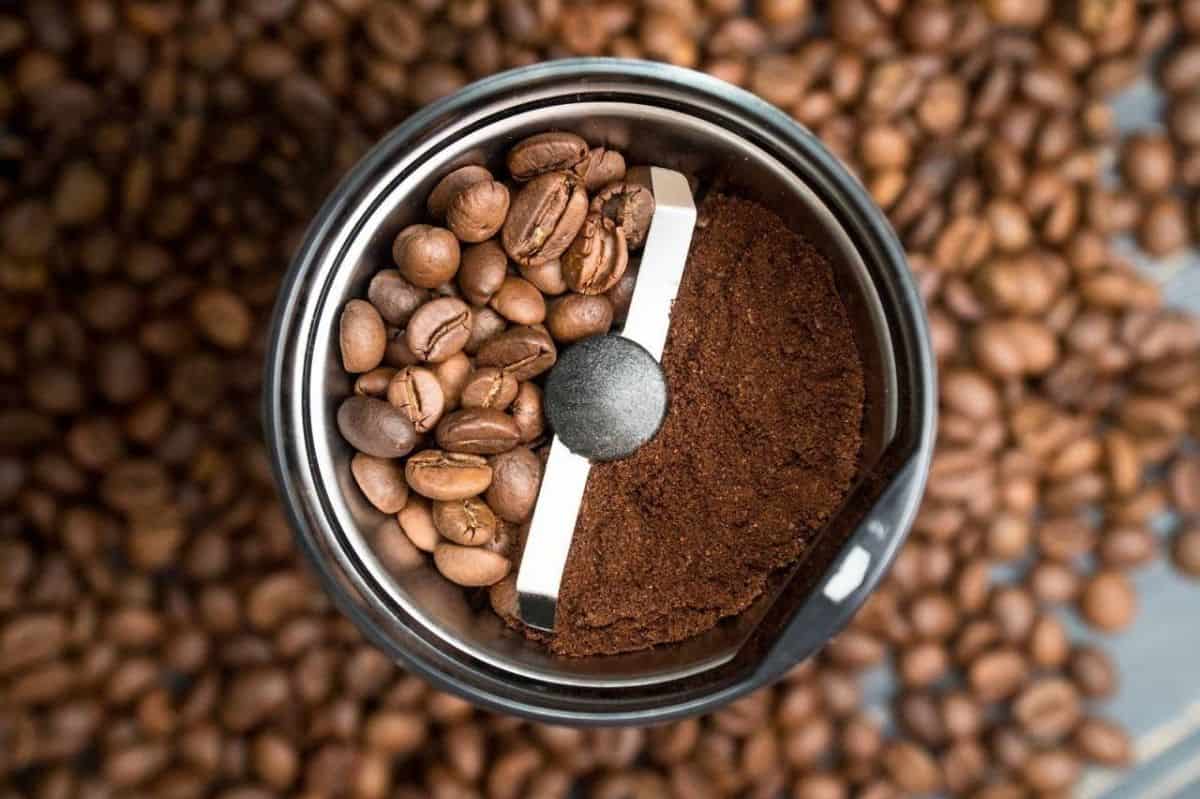 pengolahan biji kopi