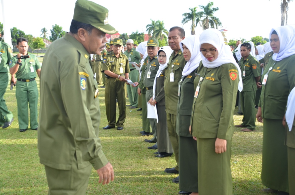 Pakaian dinas harian pns