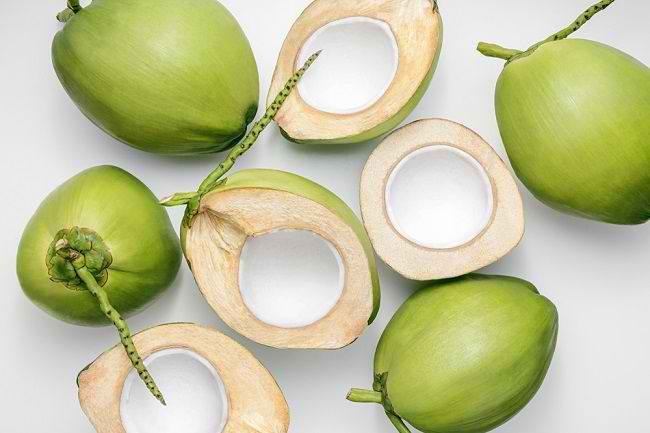 Distributor produk kelapa berkualitas