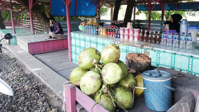usaha es kelapa muda unik