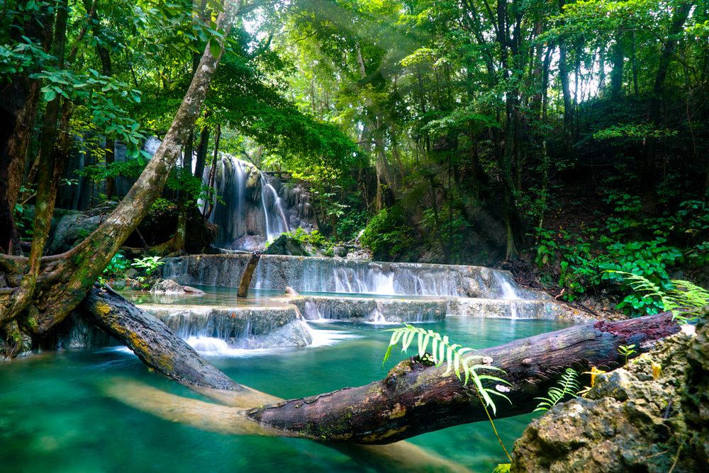 Jasa Video Dokumentasi Wisata