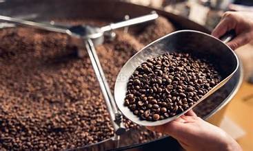 Sortasi Biji Kopi Kering