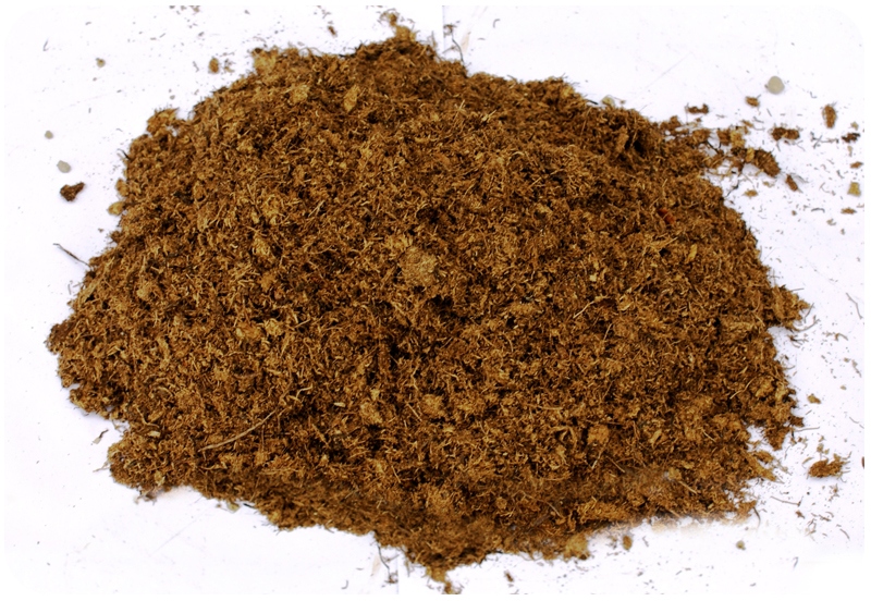 cocopeat untuk bonsai