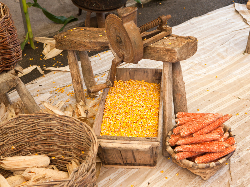 usaha pemipilan jagung rumahan
