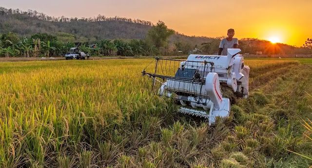 alat bantu panen sawah