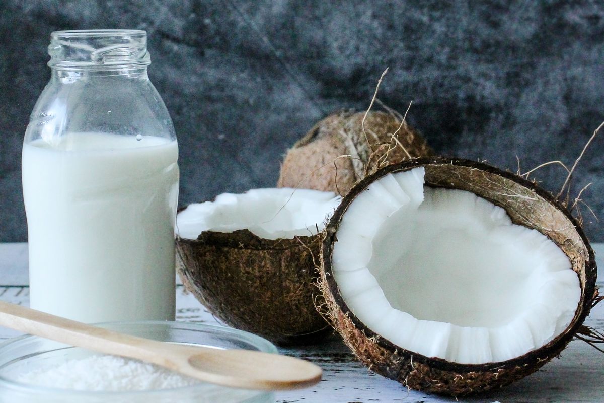 Peluang Usaha Santan Kelapa Tua Menguntungkan