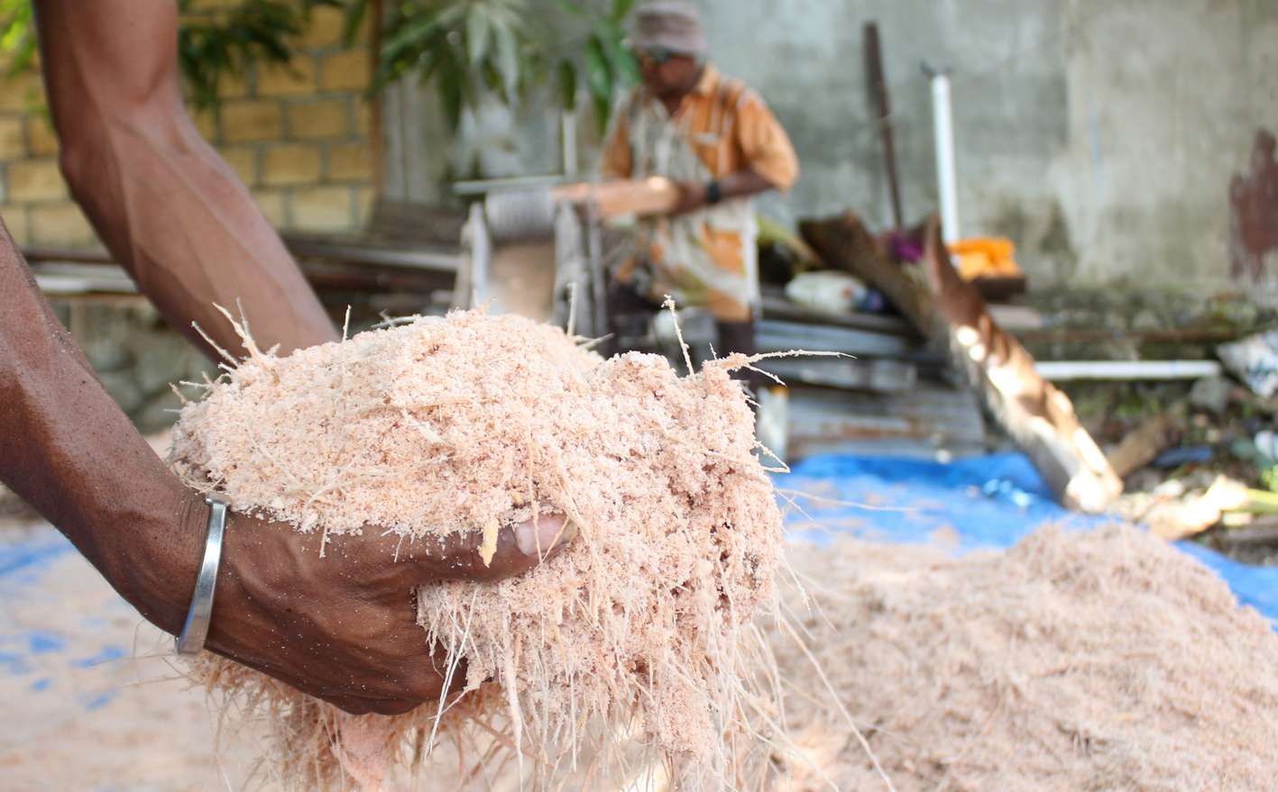 Tahapan Pengolahan Batang Sagu