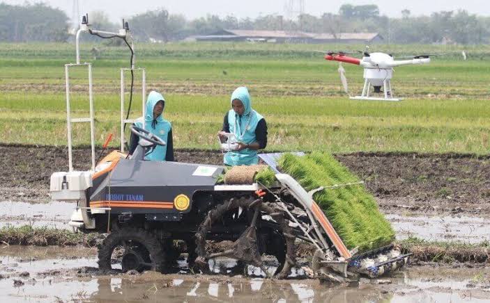 manfaat rice transplanter untuk petani