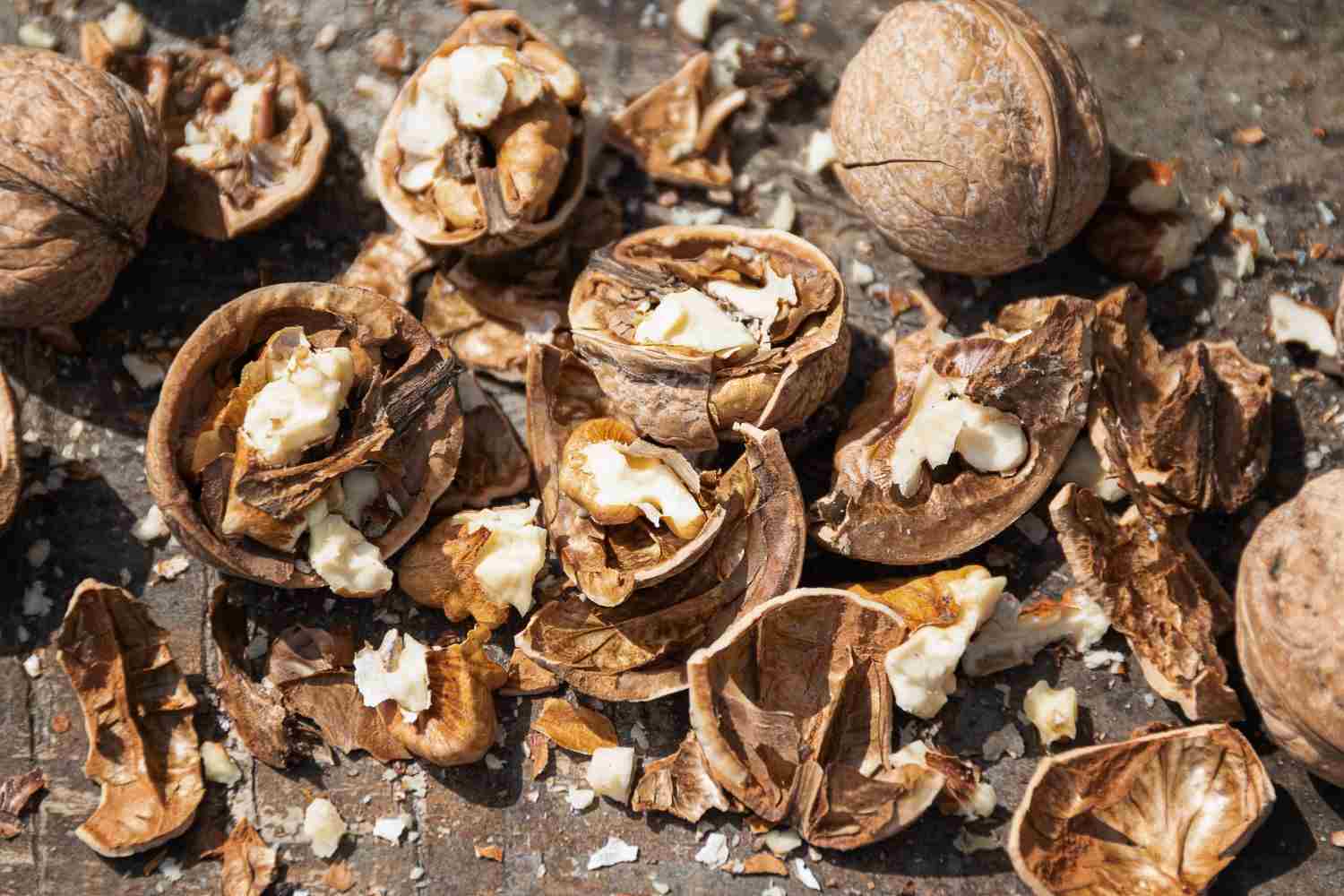 mengolah limbah kelapa