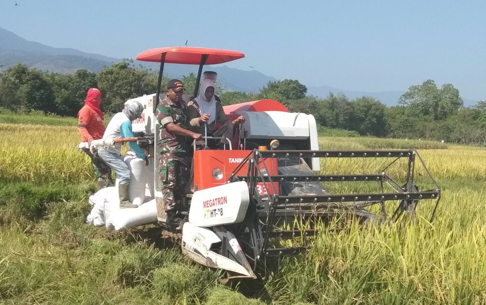 keuntungan menggunakan combine harvester